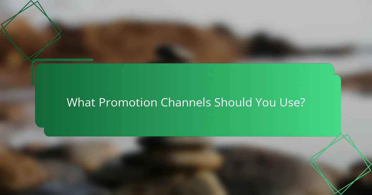 What Promotion Channels Should You Use?